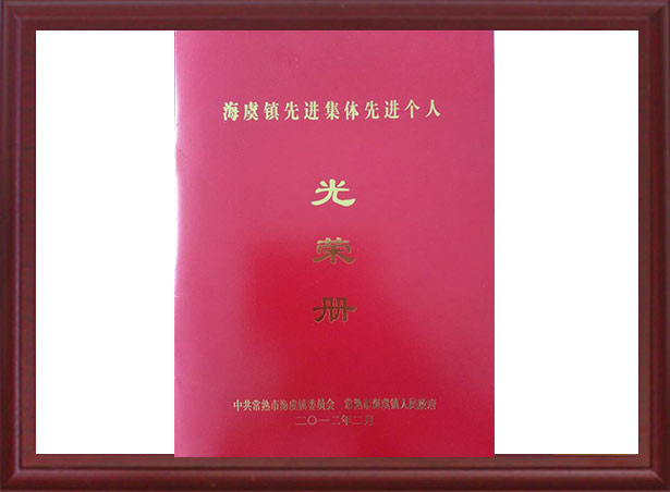 海虞鎮(zhèn)先進(jìn)集體先進(jìn)個人光榮冊