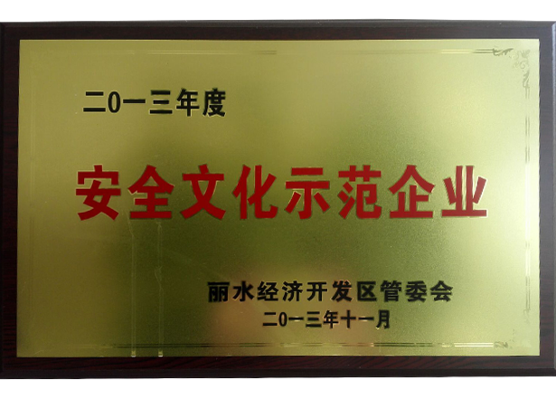 安全文化示范企業(yè)